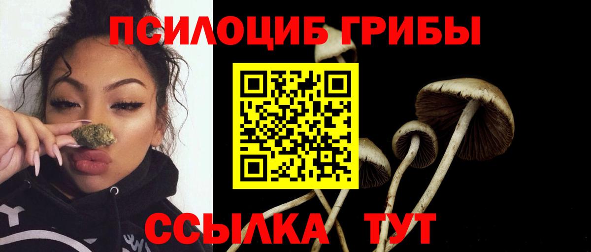 Ковров  купить закладку  Вход с VPN  Галлюциногенные грибы Psilocybe 